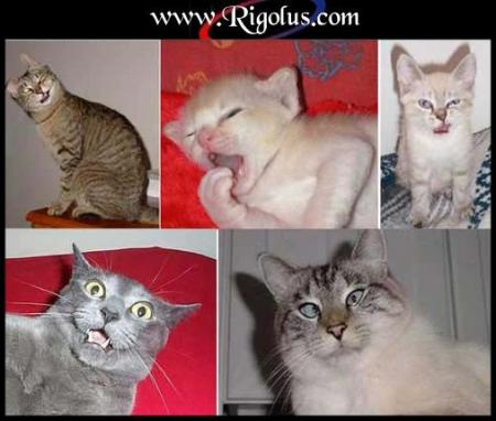 Voila ce qui arrive quand on fait la fete !   lol